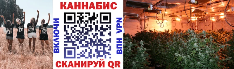 Продажа наркотиков Пионерский Галлюциногенные грибы  mega   Меф мяу мяу  Канабис  Гашиш  Кокаин 