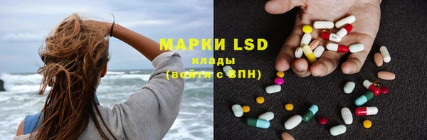 прущие грибы Белокуриха