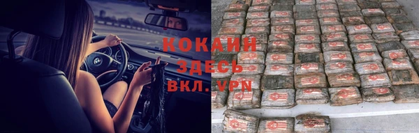 прущие грибы Белокуриха