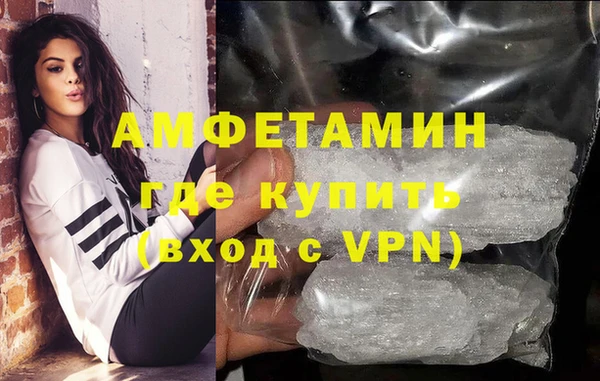 прущие грибы Белокуриха