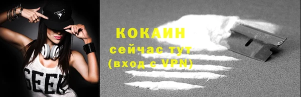 молекула духа Белоозёрский