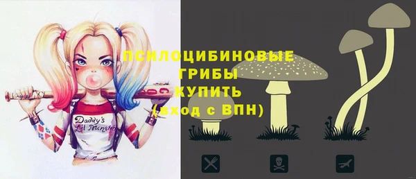 прущие грибы Белокуриха