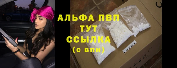 прущие грибы Белокуриха