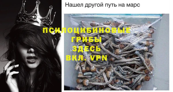 прущие грибы Белокуриха
