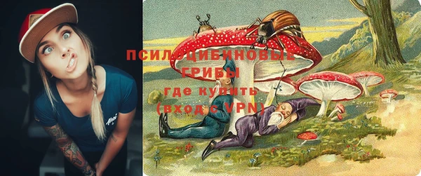 молекула духа Белоозёрский