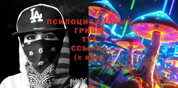 дживик Беломорск
