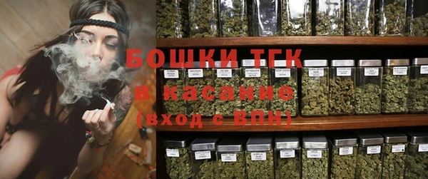 прущие грибы Белокуриха