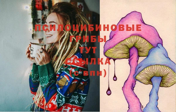 молекула духа Белоозёрский