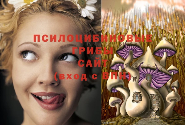 дживик Беломорск