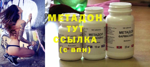 прущие грибы Белокуриха