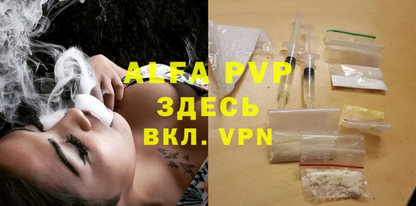 прущие грибы Белокуриха