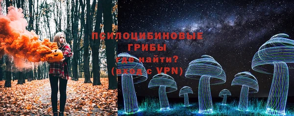 молекула духа Белоозёрский