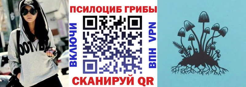 ОМГ ОМГ ССЫЛКА  Пионерский  Галлюциногенные грибы Psilocybe 