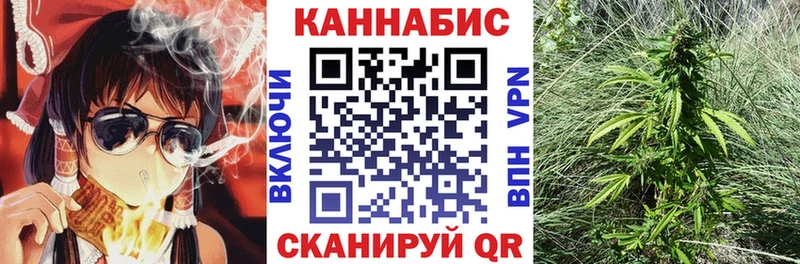 Бошки марихуана марихуана  Пионерский 
